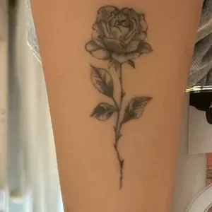 Portfolio Mahsa Nozad Rosa Tattoo