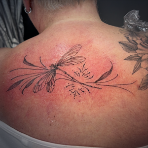 Portfolio Mahsa Nozad Libelle Tattoo
